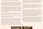 financial_times_2.2